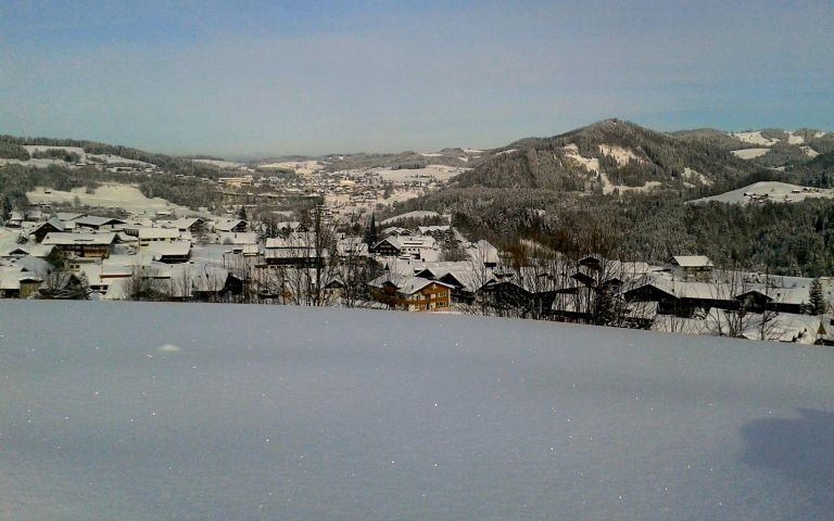 Blick vom Haus auf Steibis/Oberstaufen