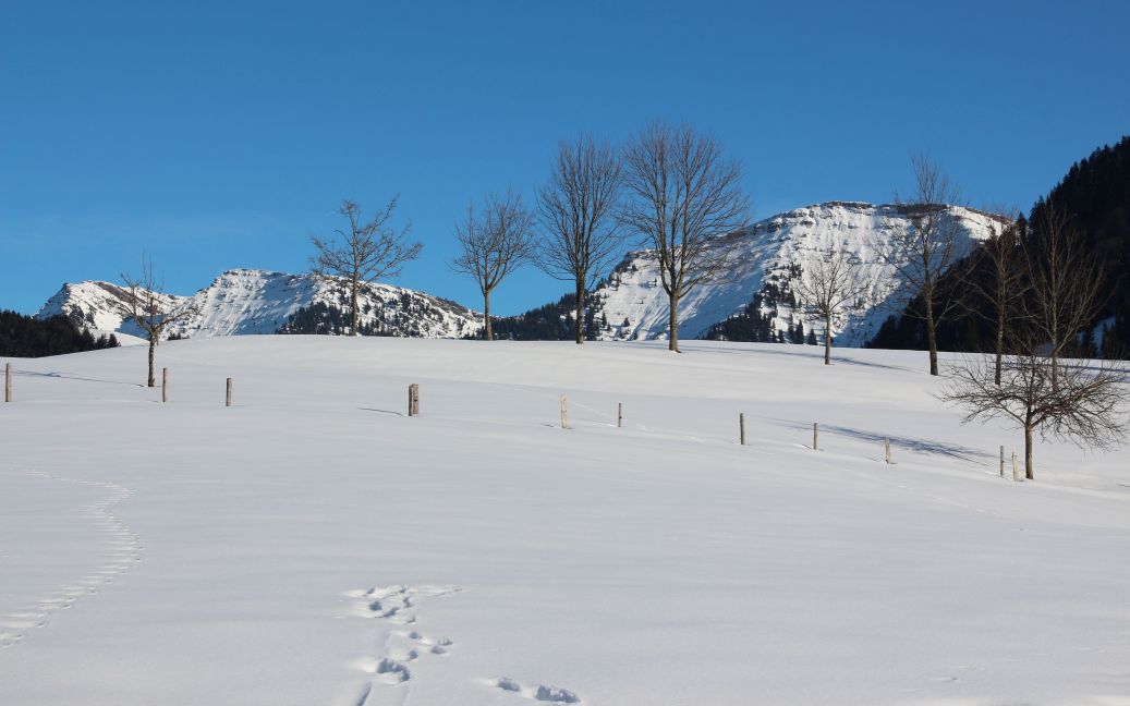 Blick auf Hochgrat